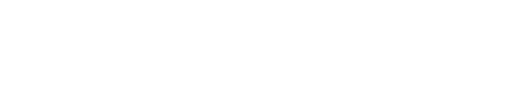 FuzzyFlags Logo